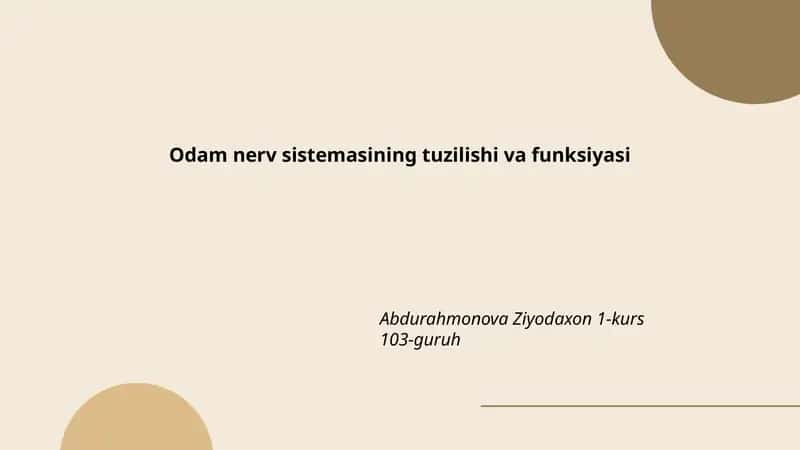 Odam nerv sistemasining tuzilishi va funksiyasi