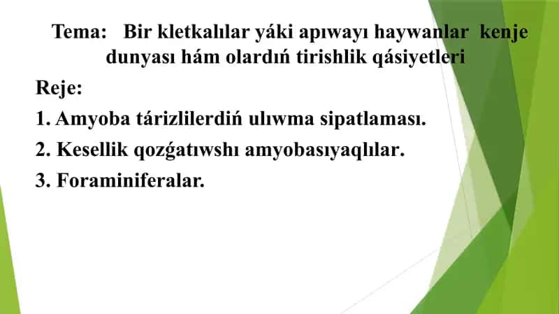 Bir kletkalıLar yáki apıwayı haywanlar kenje dunyası