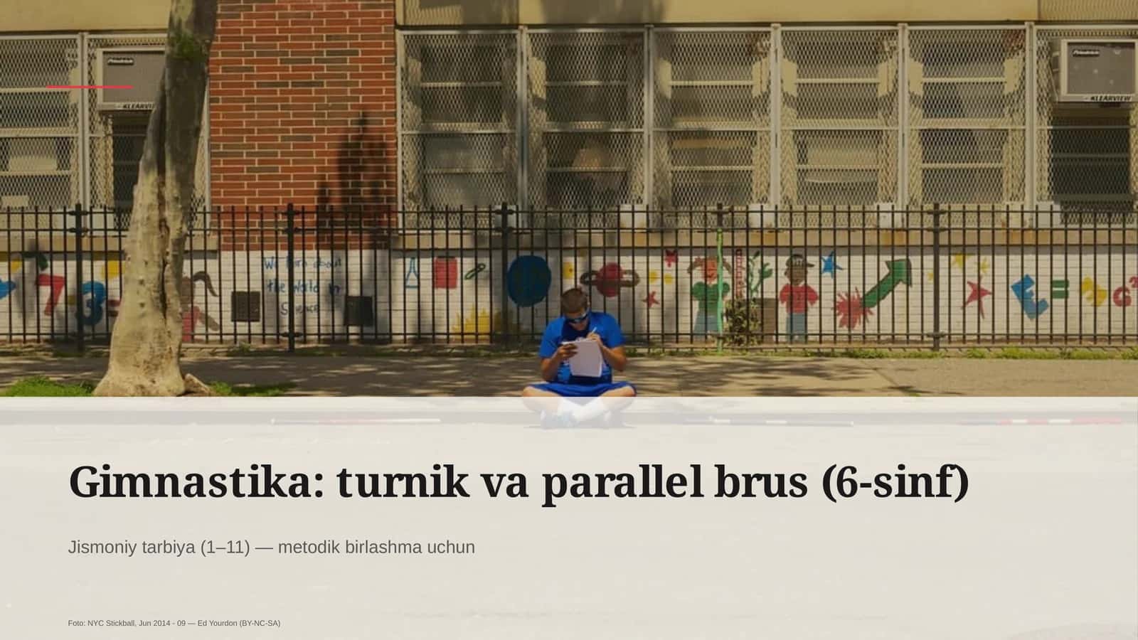 Gimnastika: turnik va parallel brus (6-sinf)