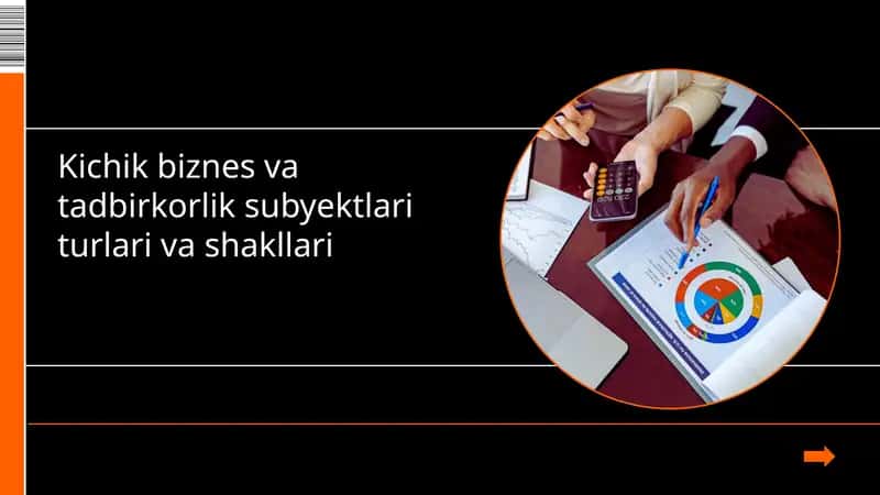 Kichik biznes va tadbirkorlik sub'ektlari