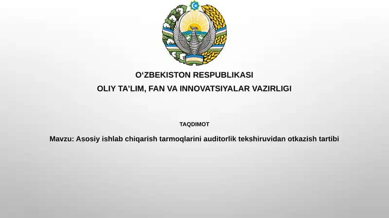 Asosiy ishlab chiqarish sektorlarini auditdan o'tkazish tartibi