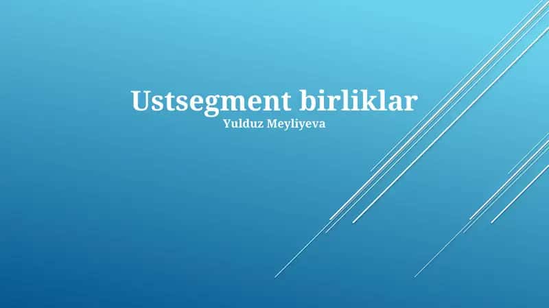 Ustsegment birliklar