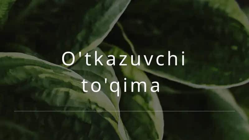 O'tkazuvchi to'qima