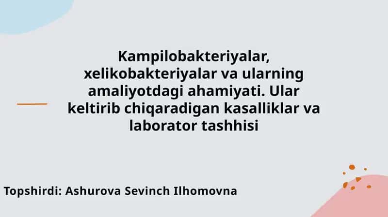 Kampilobakteriyalar, xelikobakteriyalar va ularning amaliyotdagi ahamiyati