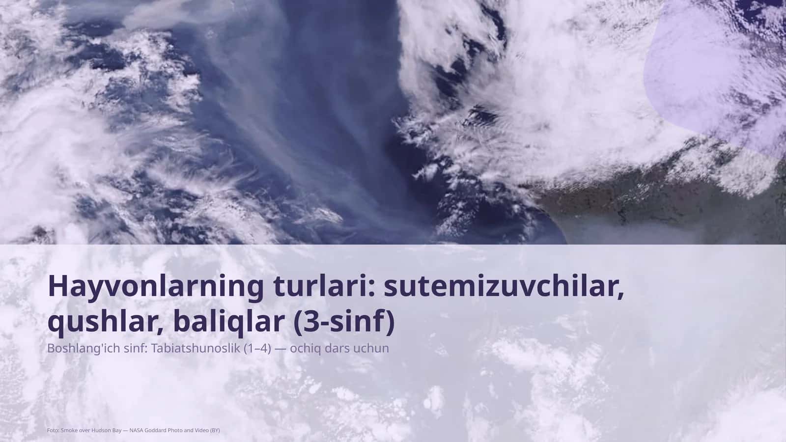 Hayvonlarning turlari: sutemizuvchilar, qushlar, baliqlar (3-sinf)