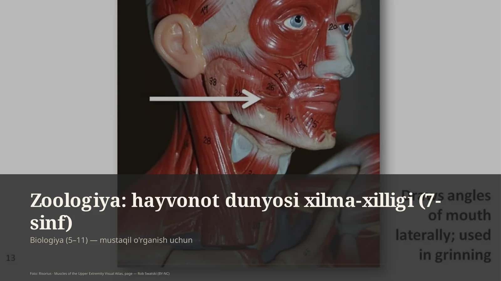 Zoologiya: hayvonot dunyosi xilma-xilligi (7-sinf)