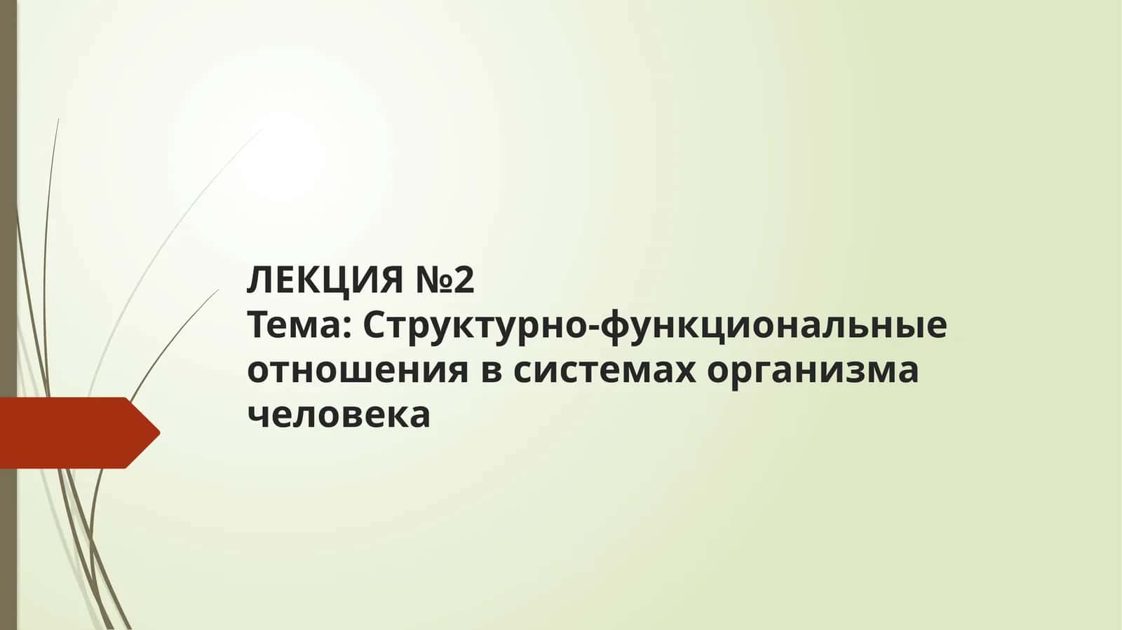 ЛЕКЦИЯ №2Тема: Структурно-функциональные отношения в системах организма человека