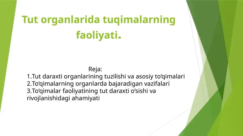Tut organlarida tuqimalarning faoliyati