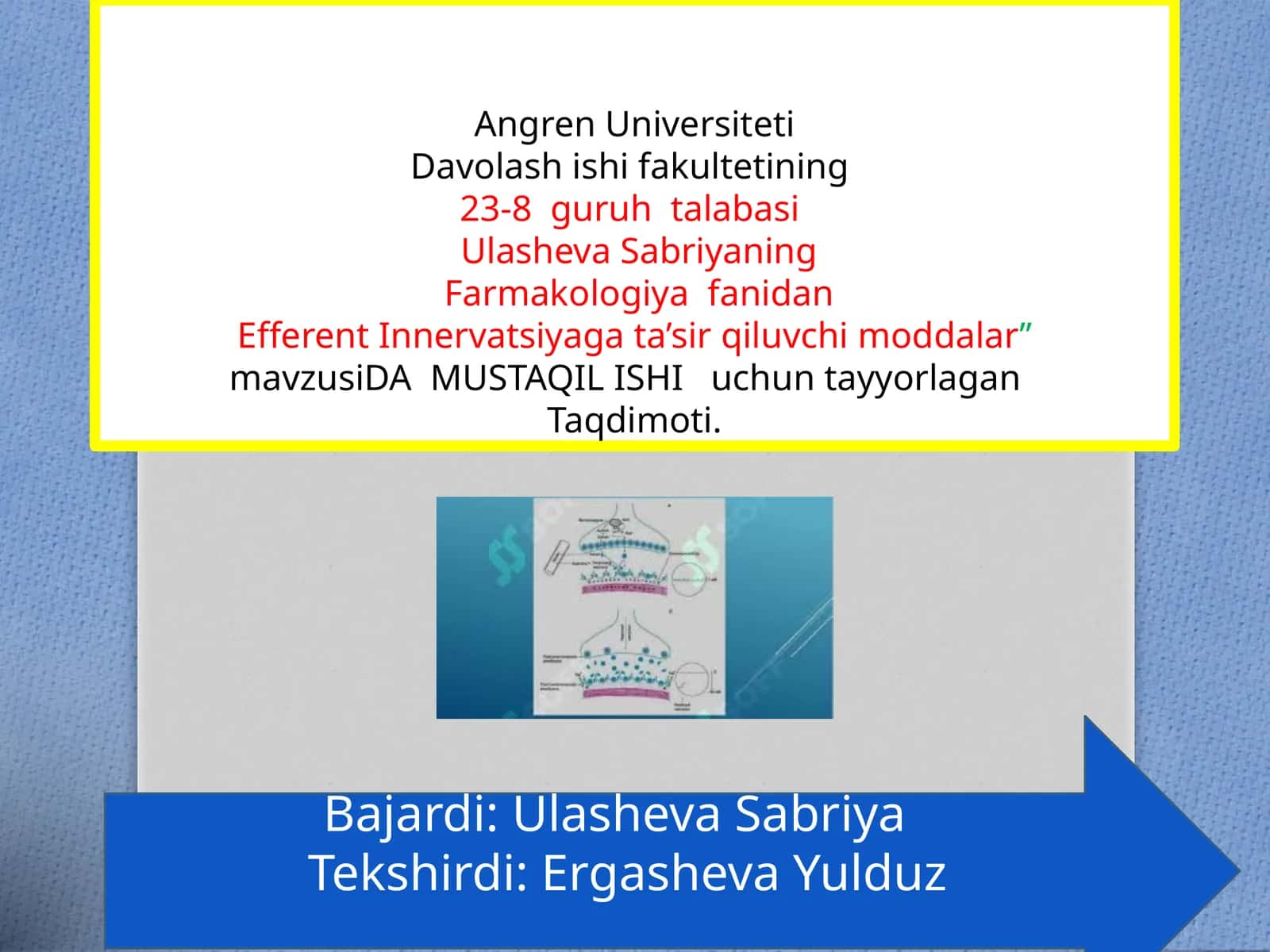 Efferent Innervatsiya gata’sirqiluvchi moddalar