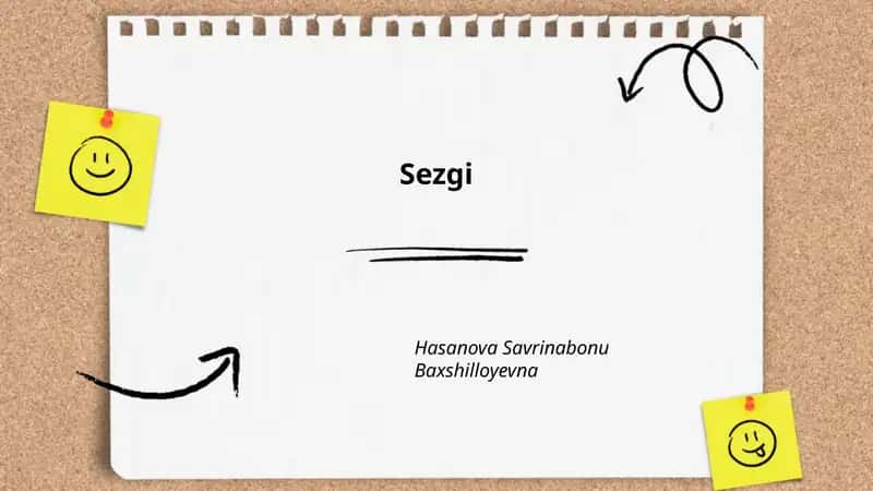 Sezgi