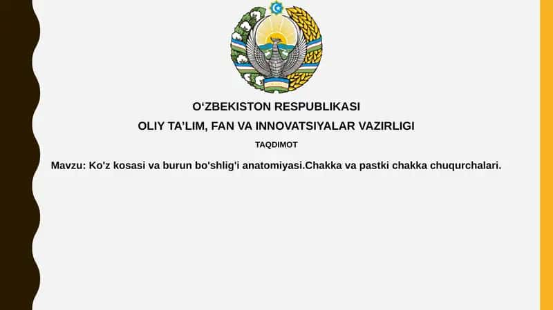 Orbita Anatomiyasi