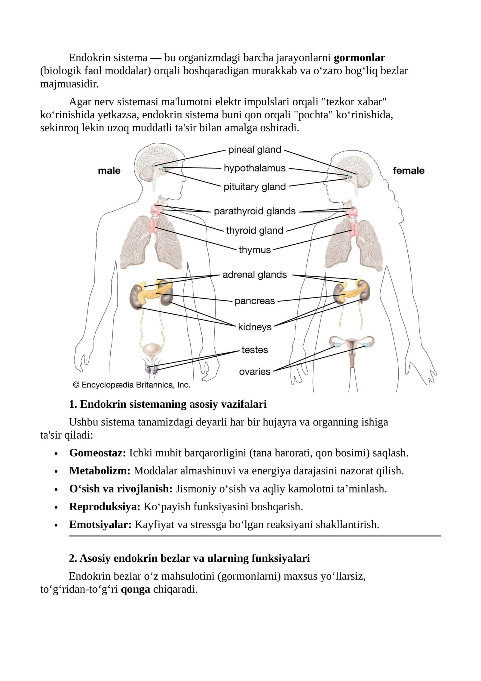 Endokrin sistema