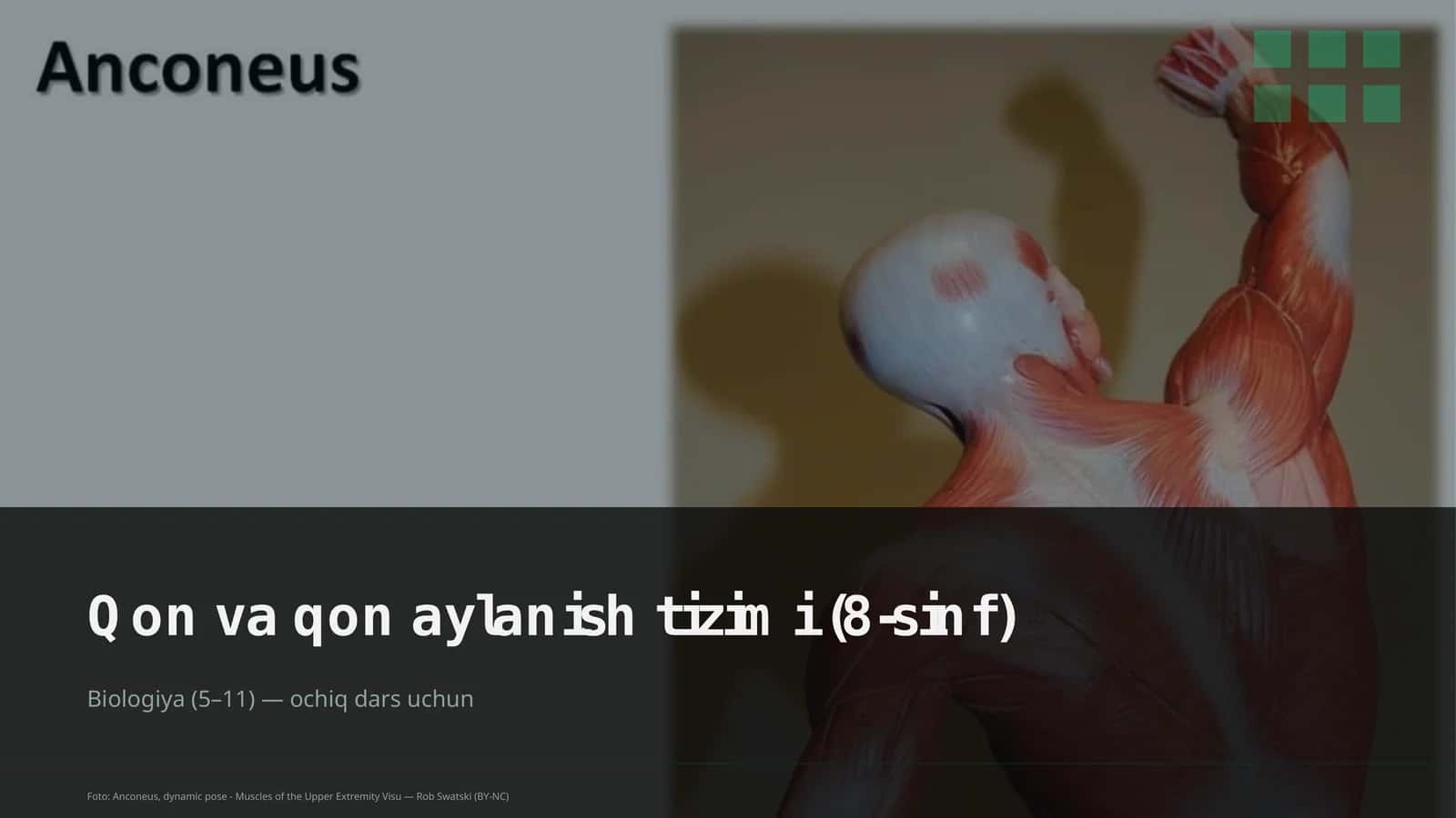 Qon va qon aylanish tizimi (8-sinf)