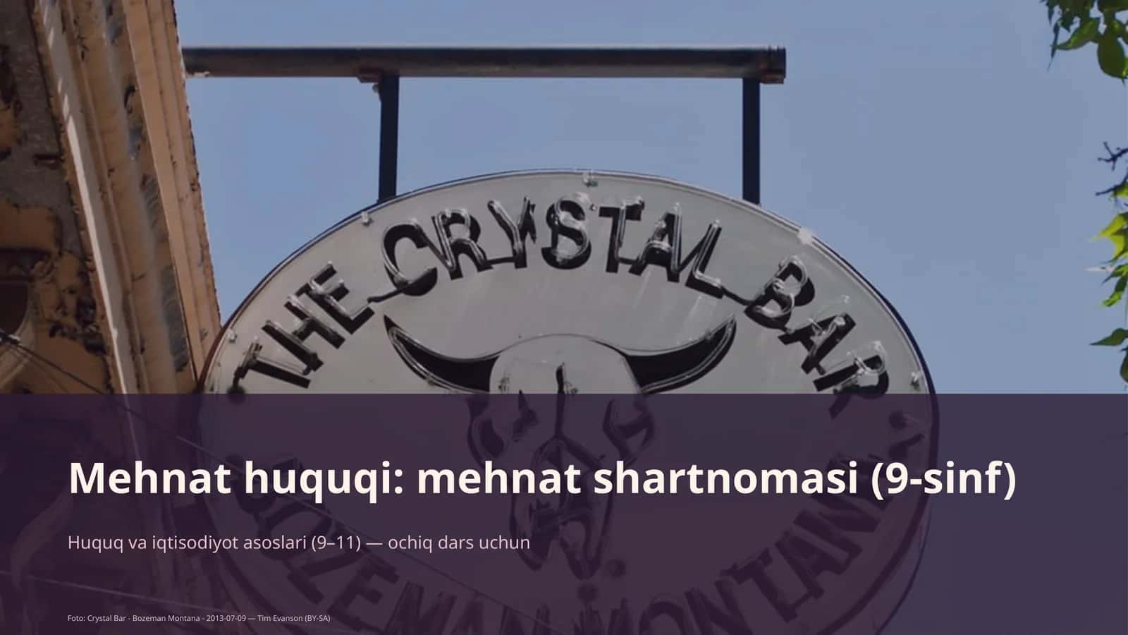 Mehnat huquqi: mehnat shartnomasi (9-sinf)