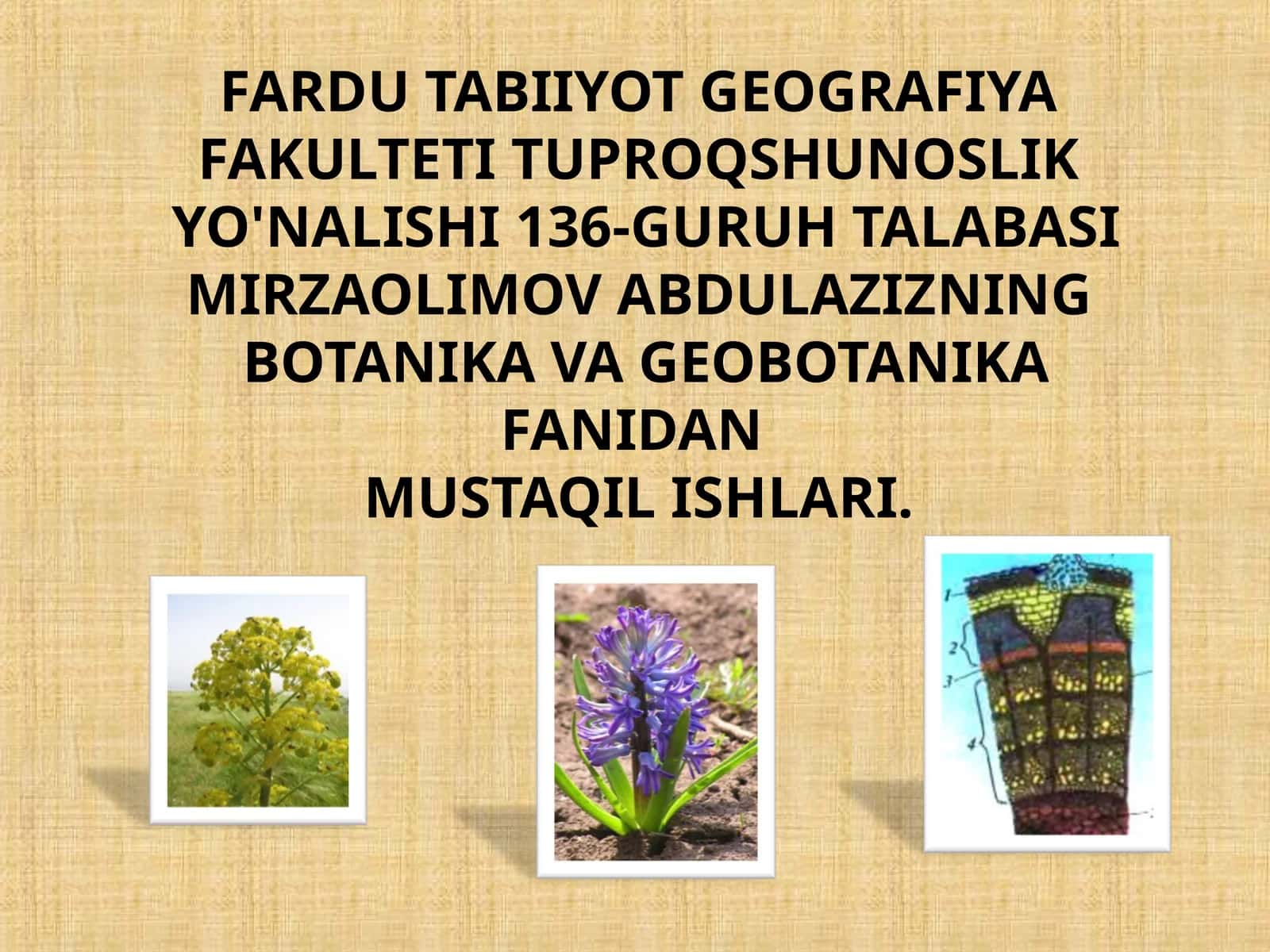 FARDU TABIIYOT GEOGRAFIYA FAULTETI