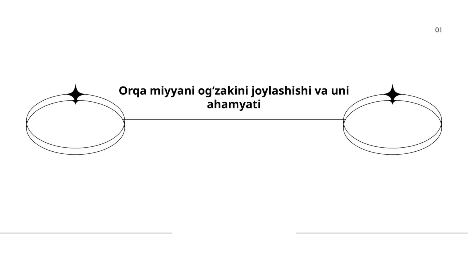 Orqa miyyani ogʻzagining anatomik joylashishi bosh miya va umurtqa pogʻonasi kontekstida