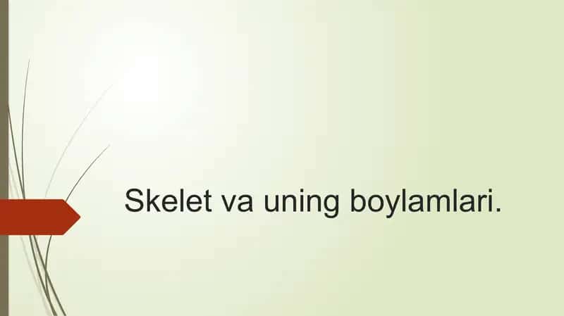 Skelet vauning boylamlari