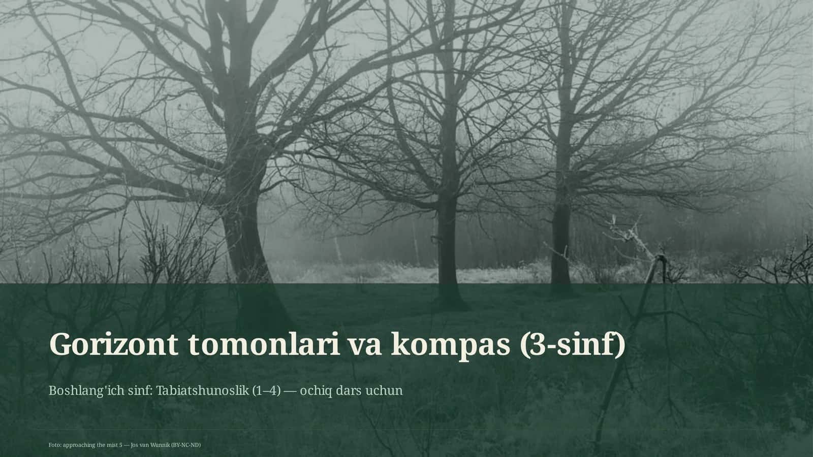 Gorizont tomonlari va kompas (3-sinf)