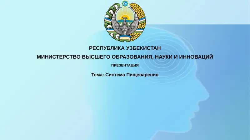СистемаПищеварения