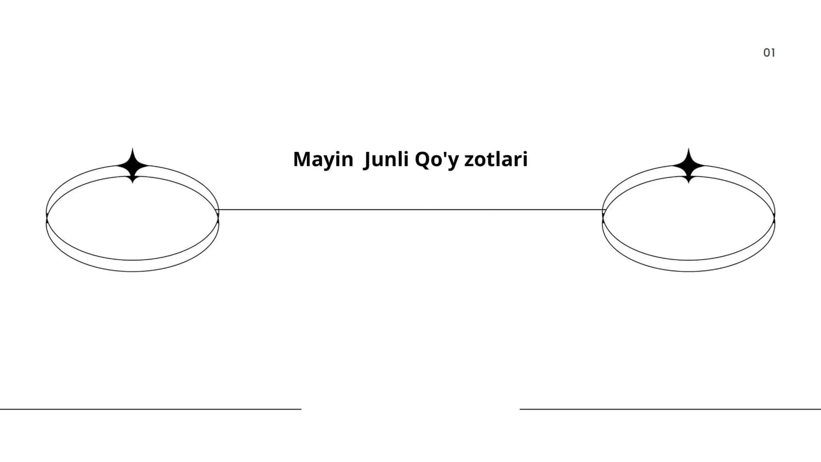 Mayin Junli Qo'y zotlari
