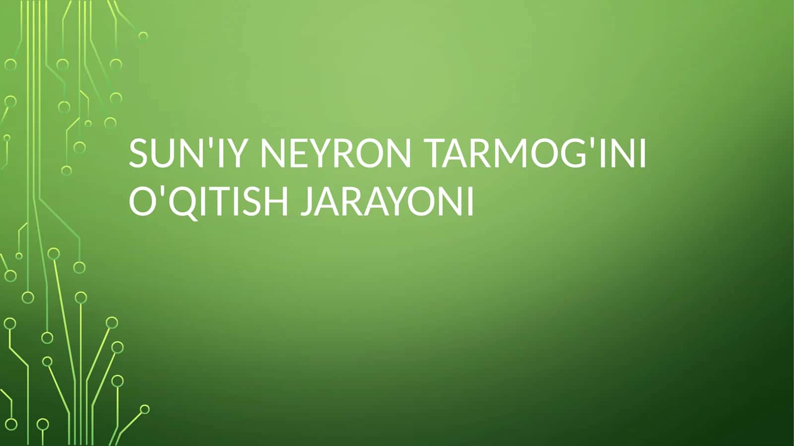 Sun'iy neyron tarmoqlarini o'qitish jarayoni