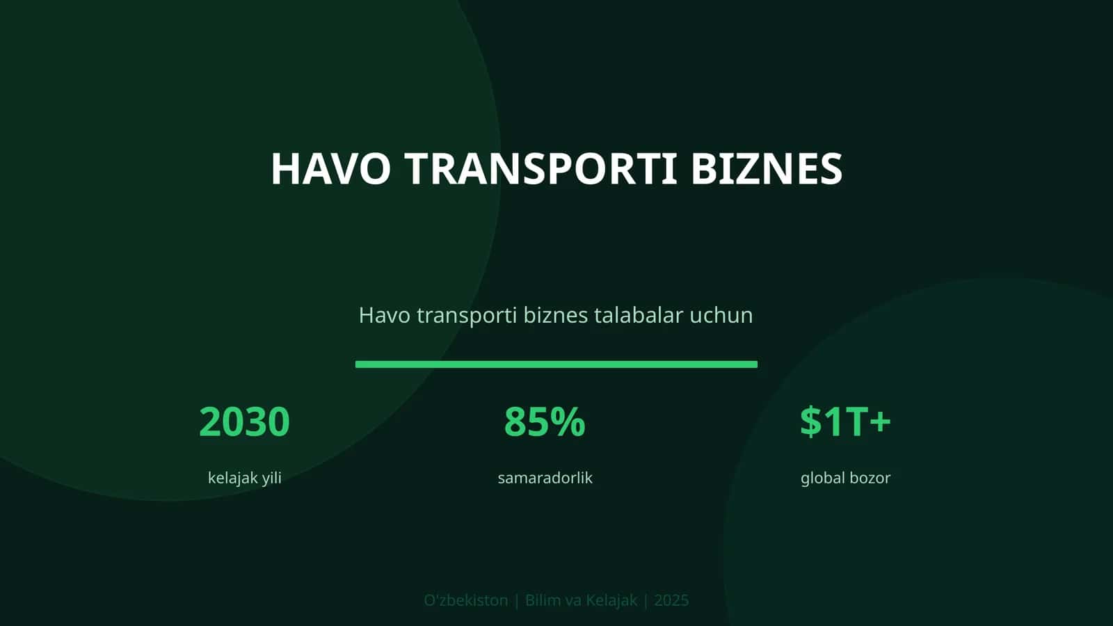 Havo transporti biznes