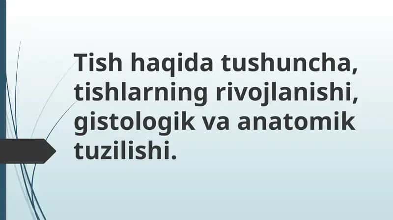 Tishlarning tuzilishi, anatomik va gistologik tuzilishi