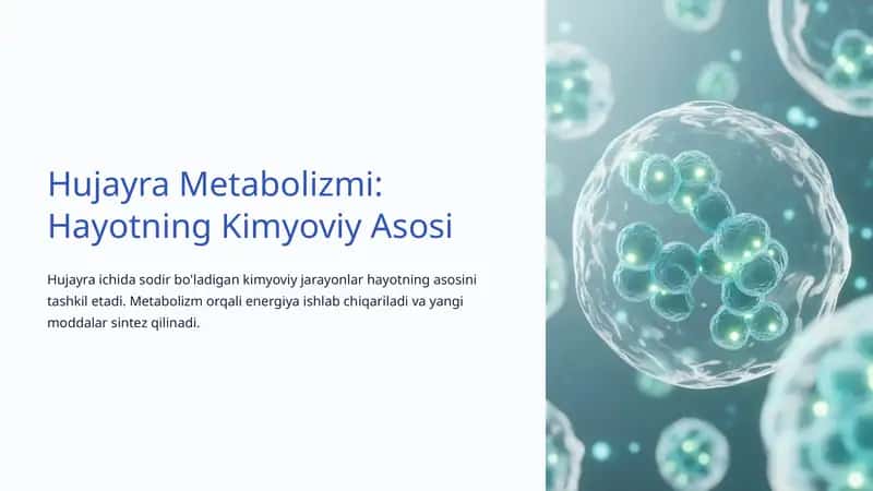 Hujayra Metabolizmi: Hayotning Kimyoviy Asosi