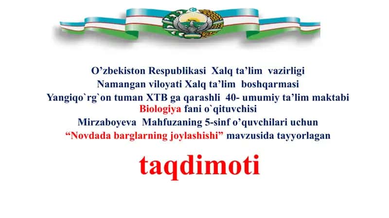 "Novdada barglarning joylashishi"