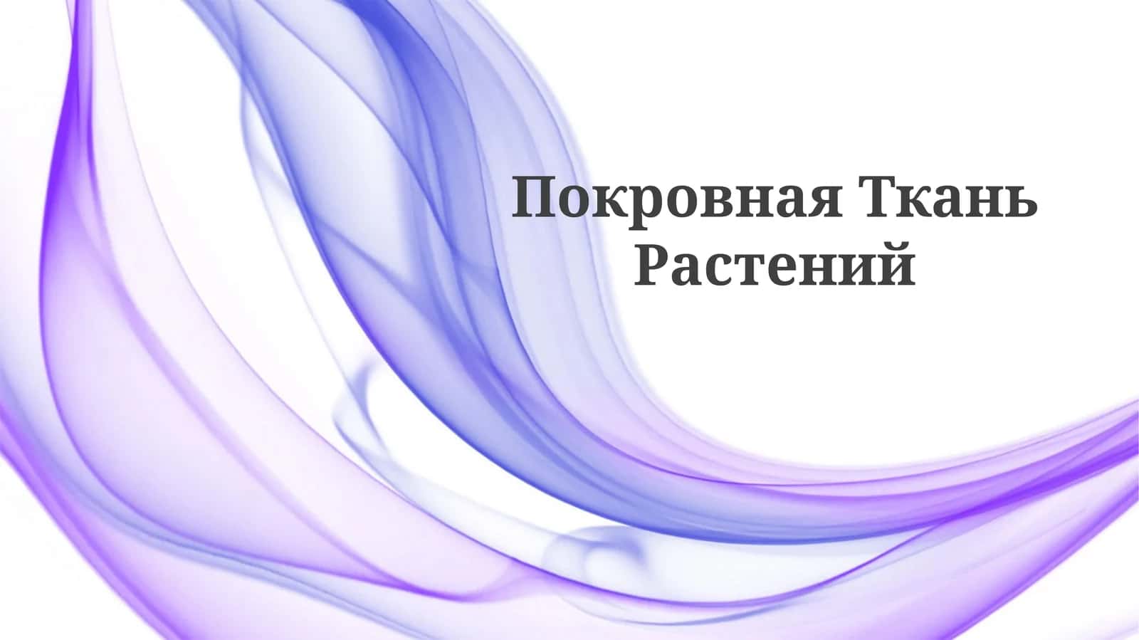 Pokrovnaya Tkan Rasteniy (epidermal to'qima)