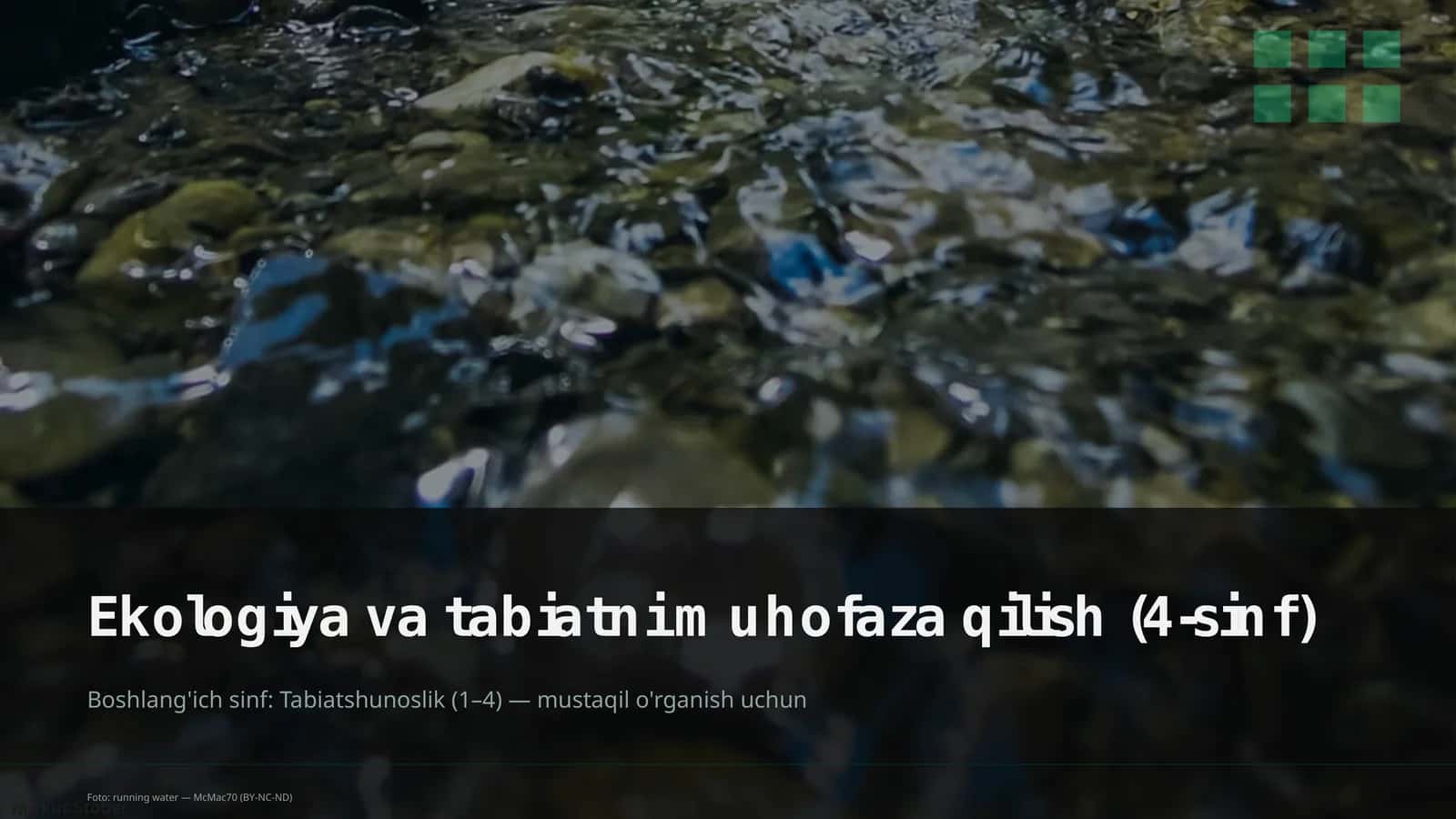 Ekologiya va tabiatni muhofaza qilish (4-sinf)