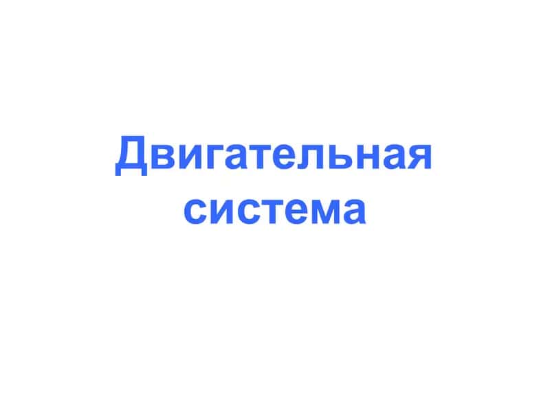 Двигательная система