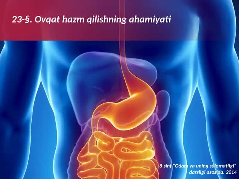 Ovqathazmqilishningahamiyati