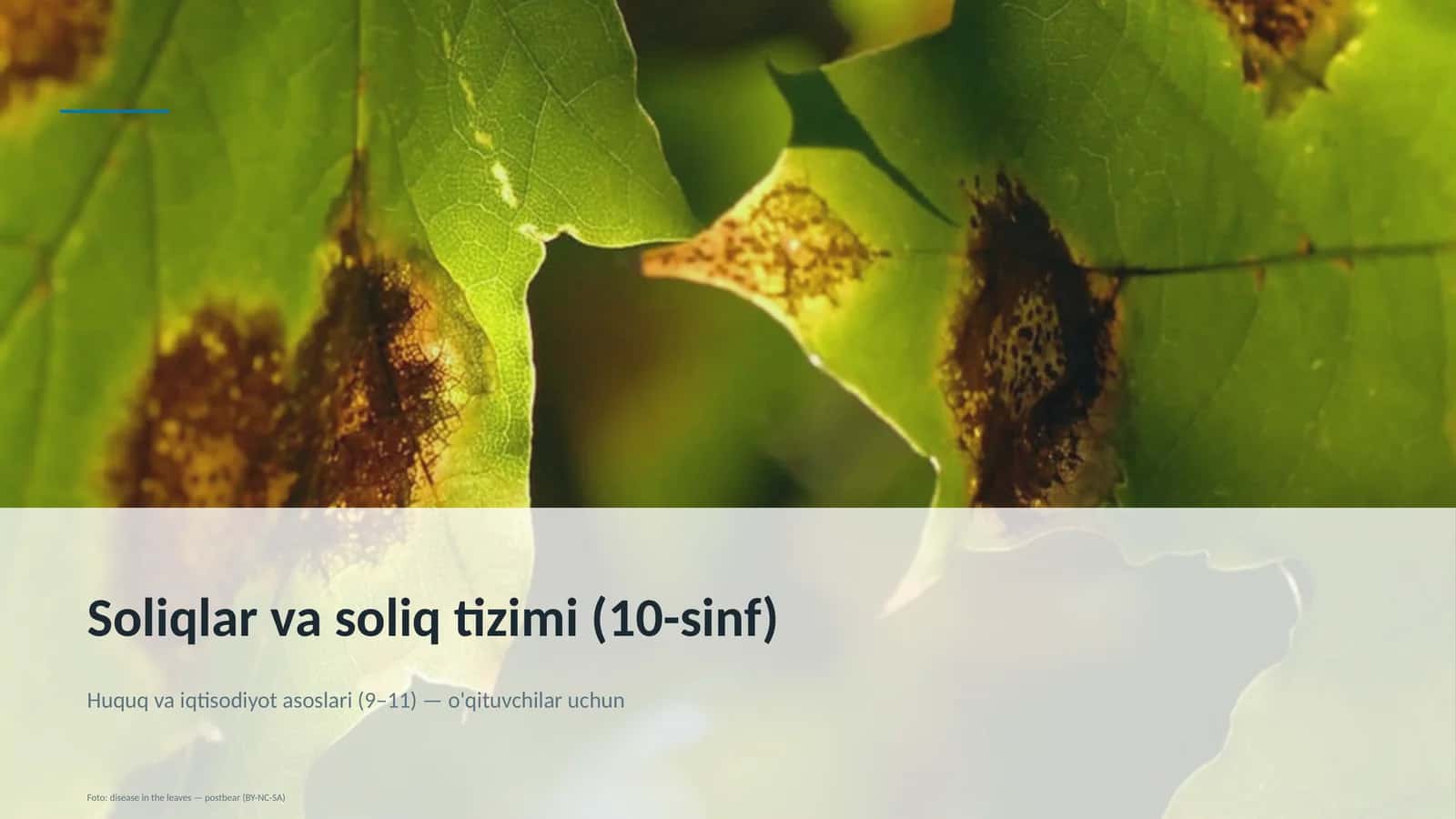 Huquq va iqtisodiyot asoslari (9–11) — o'qituvchilar uchun