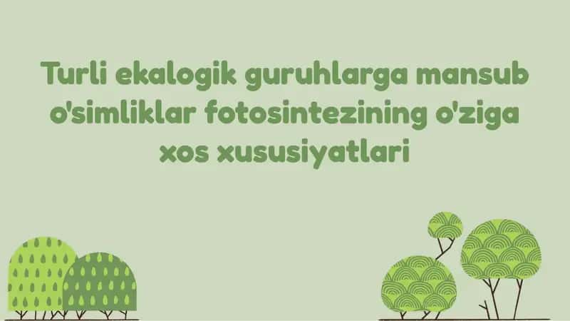 Turli ekalogik guruhlarga mansub o'simliklar fotosintezining o'ziga xos xususiyatlari