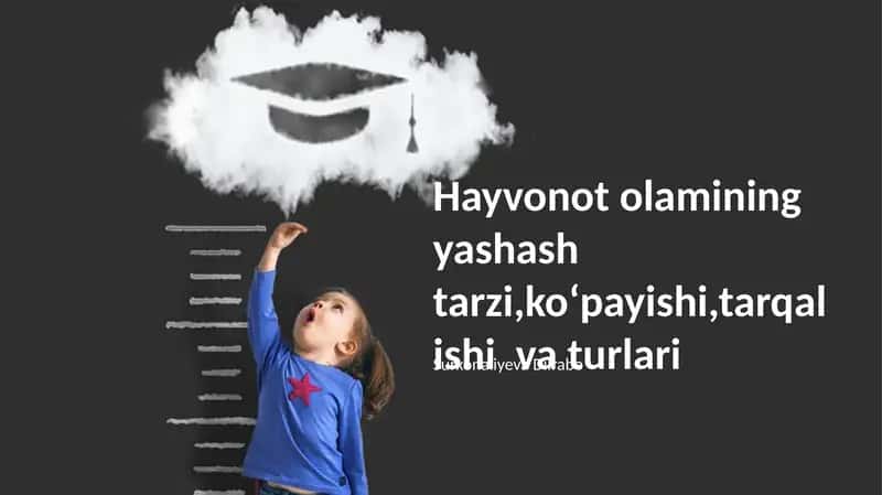 Turlar Xilma-xilligi
