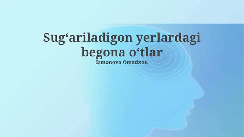 Sugʻariladigon yerlardagi begona oʻtlar