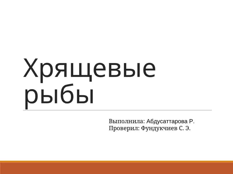 Хрящевые рыбы