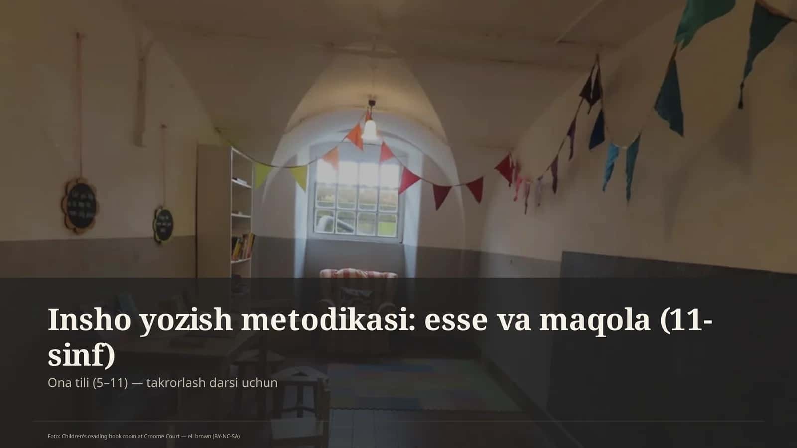 Insho yozish metodikasi: esse va maqola (11-sinf)