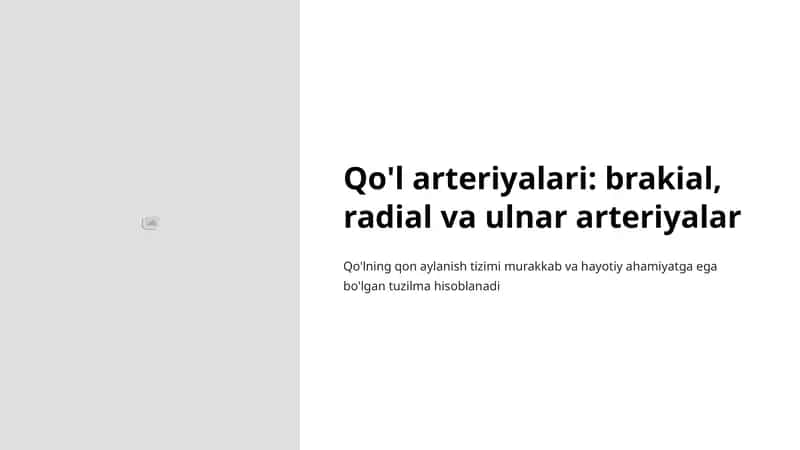 Qo'l arteriyalari