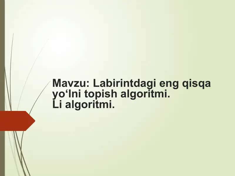 Labirintdagi eng qisqa yo'lni topish algoritmi