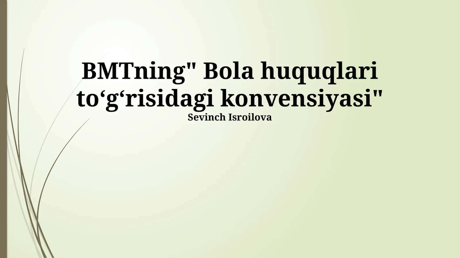 Bola huquqlari toʻgʻrisidagi konvensiyasi