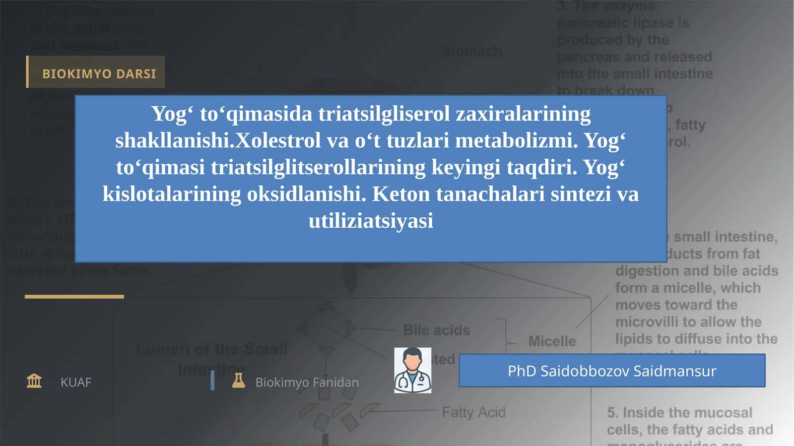 Yog‘ to‘qimasida triatsilgliserol zaxiralarining shakllanishi.