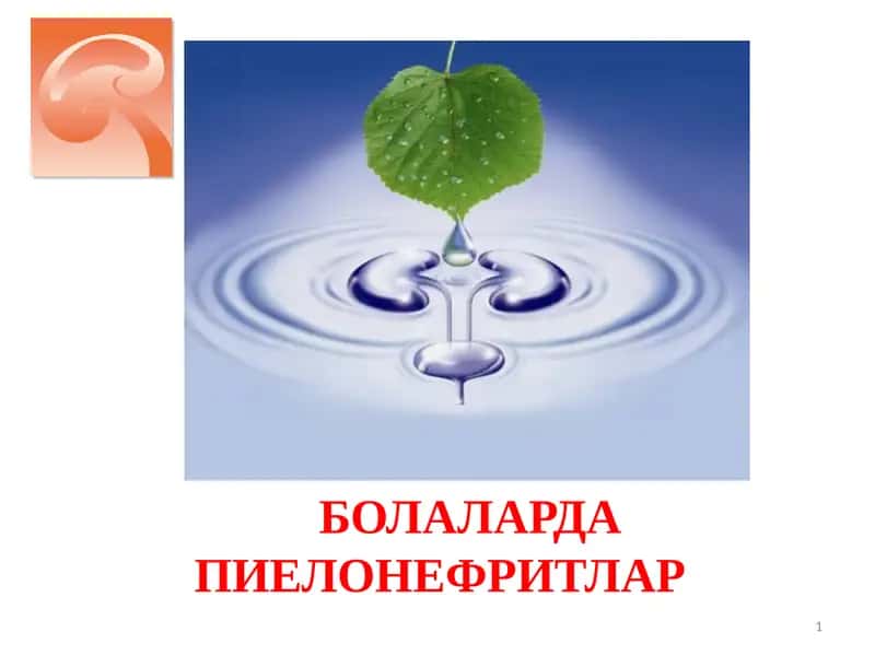 БОЛАЛАРДА ПИЕЛОНЕФРИТЛАР
