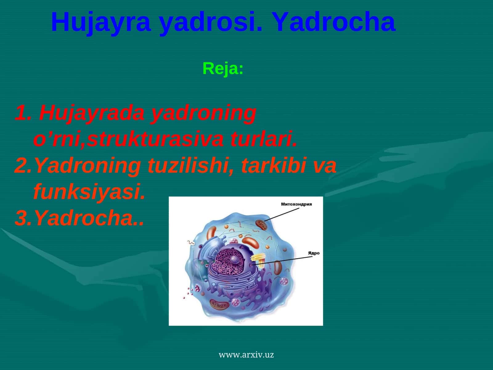 Yadrocha