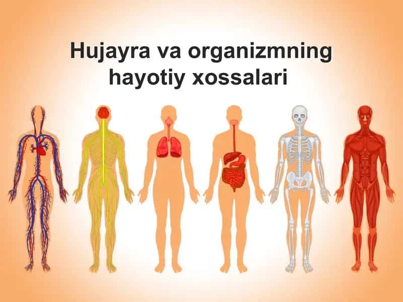 Hujayra va organizmning hayotiy xossalari