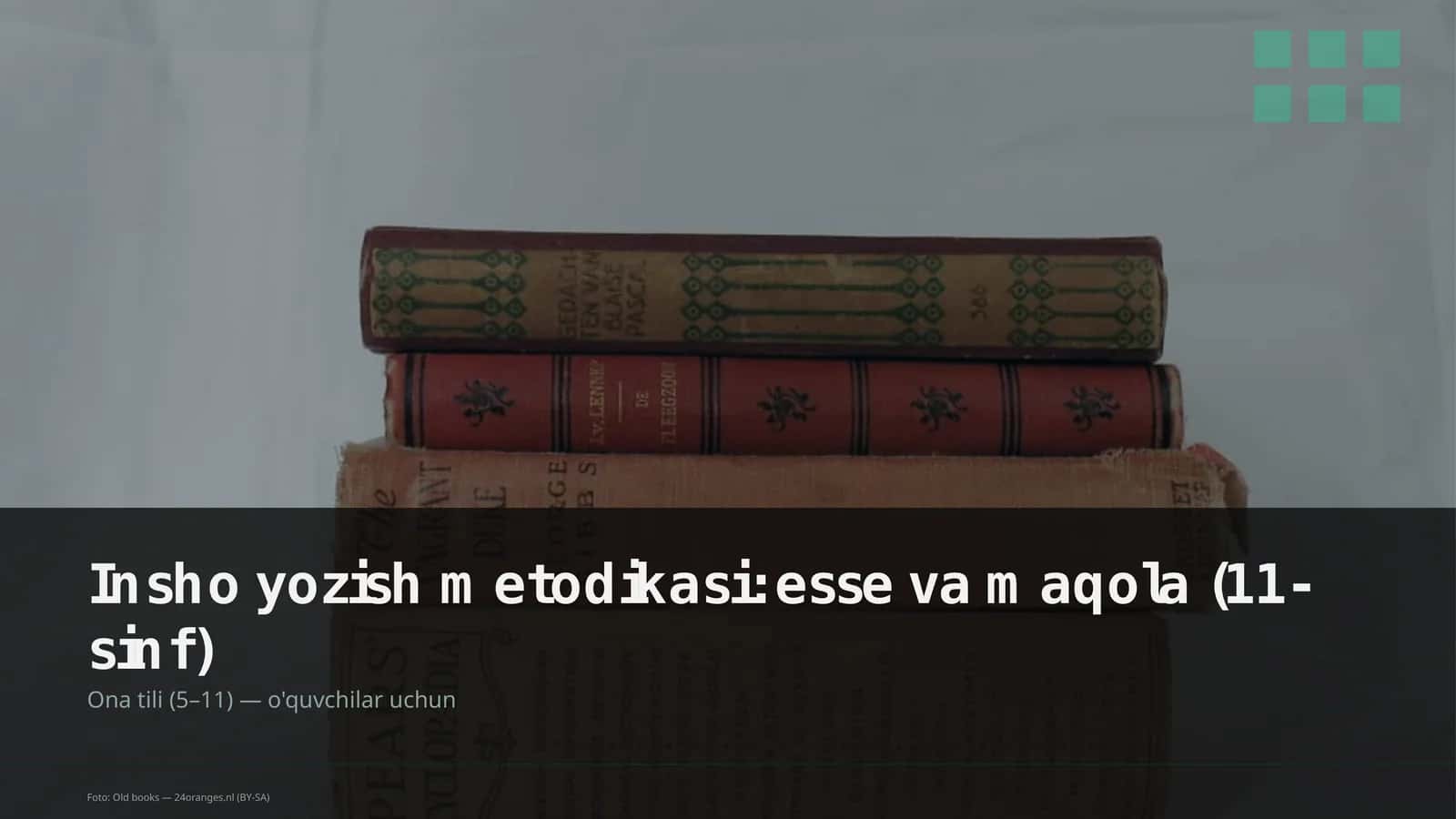 Insho yozish metodikasi: esse va maqola (11-sinf)