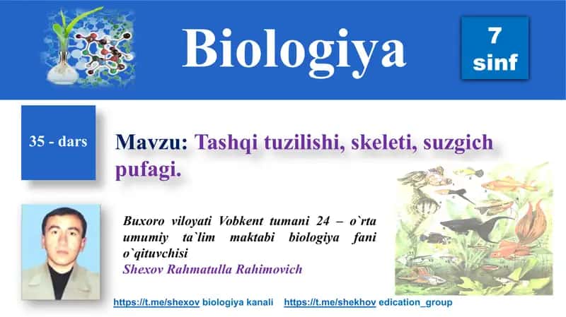 Biologiya darsi