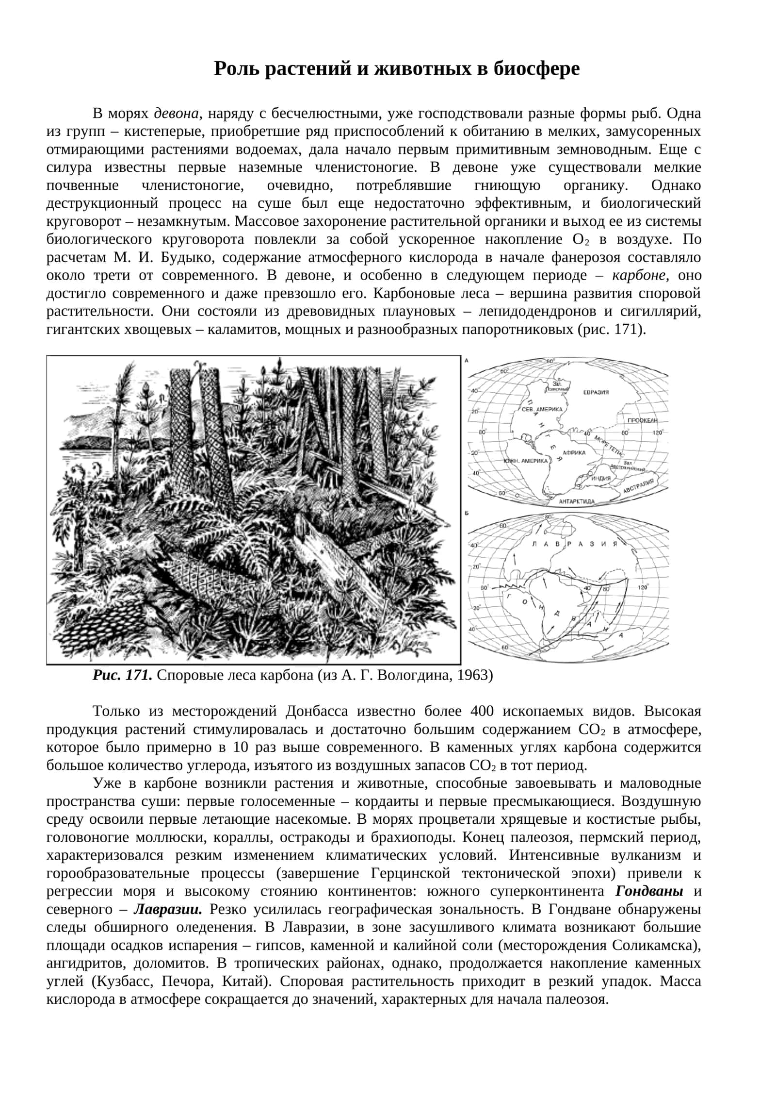 Роль растений и животных в биосфере