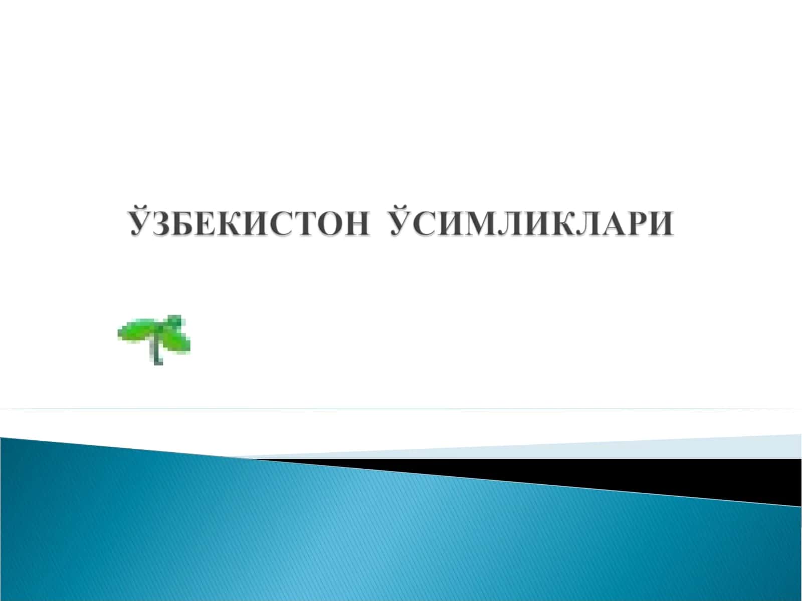 Ўсимликлар